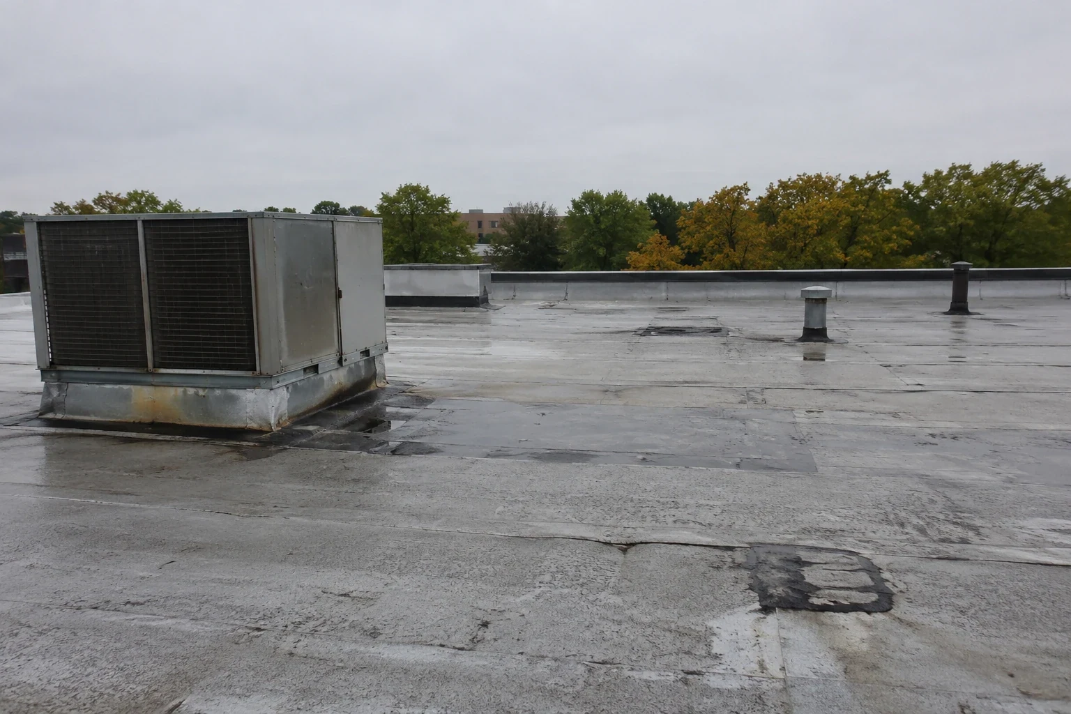 Commercial Roof Insurance Claim Assistance in Columbia, MO